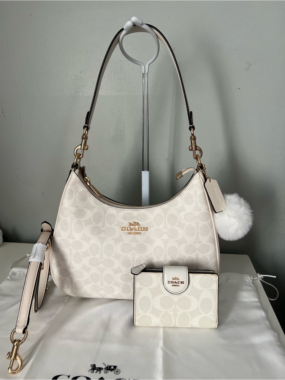 Coach Teri Hobo Bag And Wallet